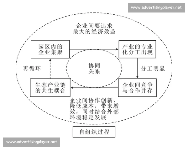 以初创企业为核心的创新生态构建与高质量发展路径研究实践探索