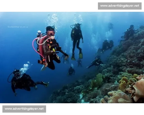 极限运动的魅力与挑战探索：从空中飞翔到海底深潜的冒险之旅